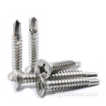 Groove de acero inoxidable Groove Countersunk Head Auth-emphado y tornillo de tapping